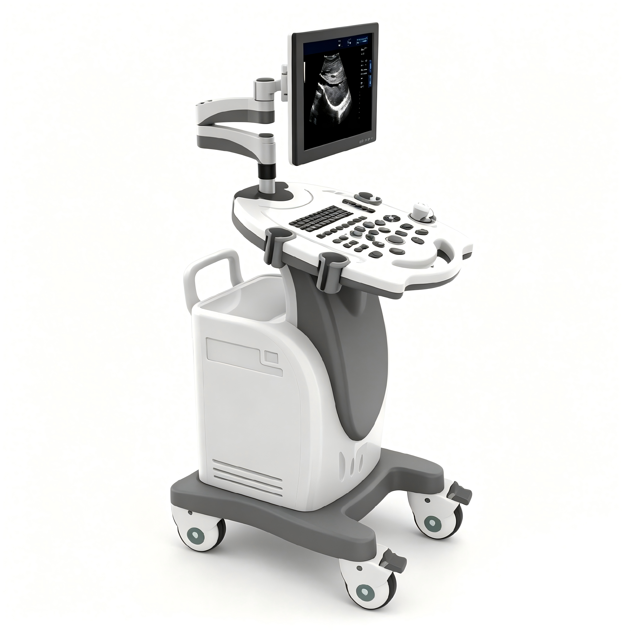 CMU-B3 Black & White Ultrasound